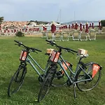 Sul Mare Palau