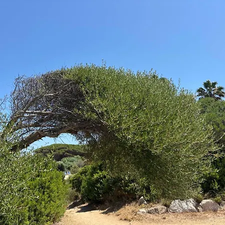 Σπίτι διακοπών Sul Mare Palau