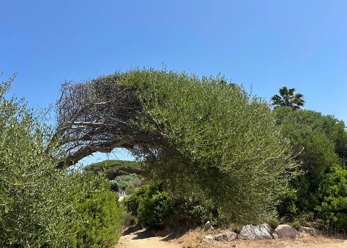 Holiday home Sul Mare Palau